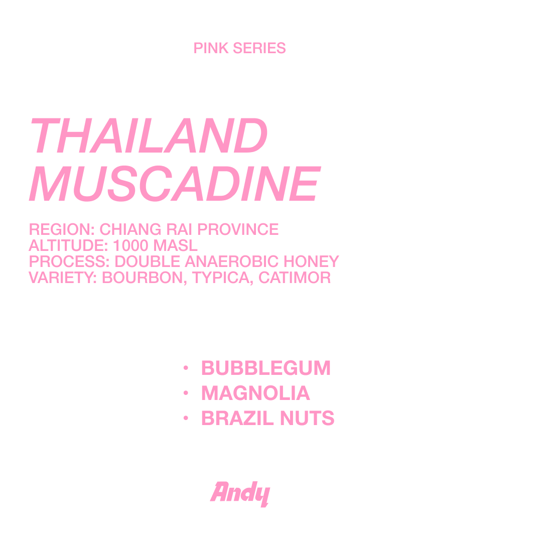 THAILAND MUSCADINE, Filter