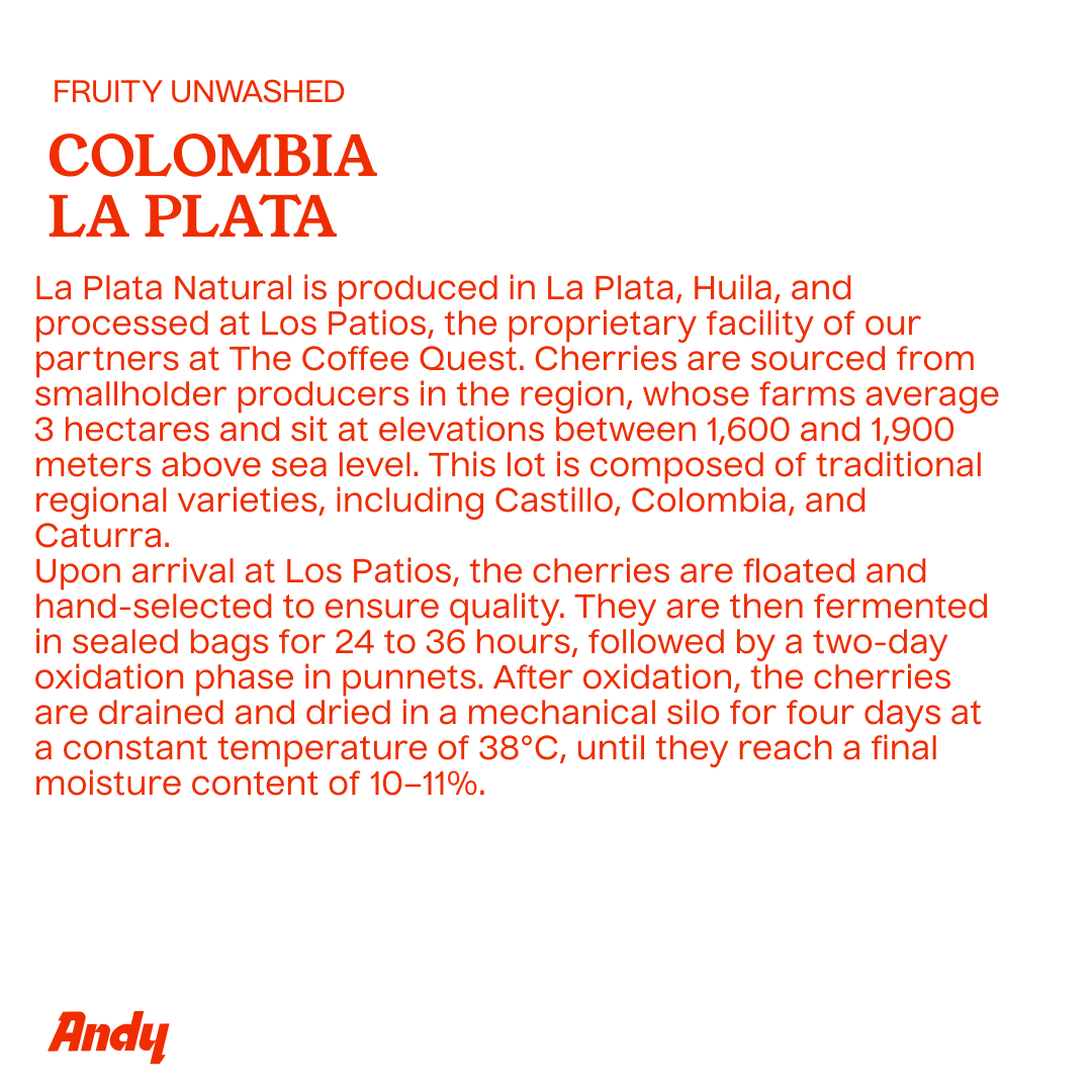 COLOMBIA La Plata, Espresso