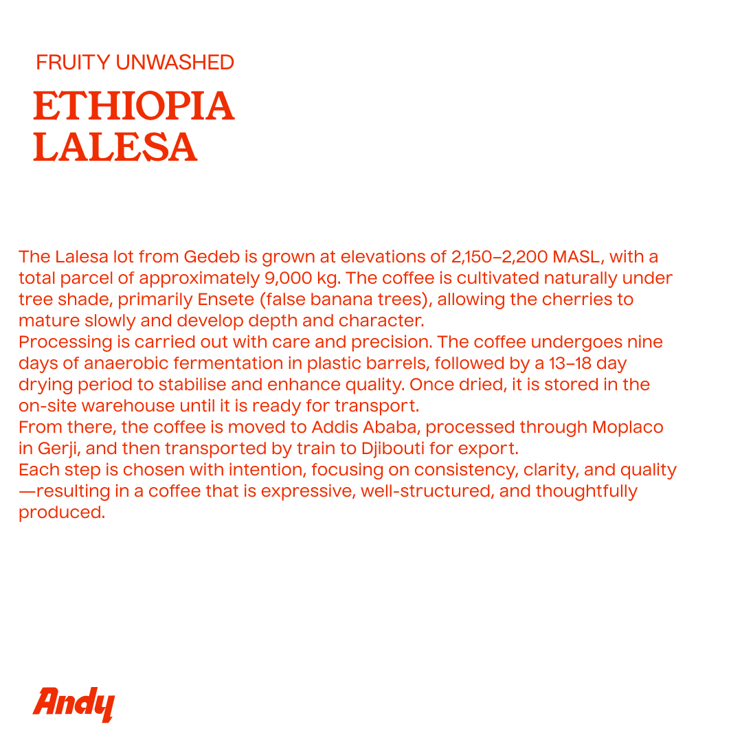 ETHIOPIA Lalesa, Espresso