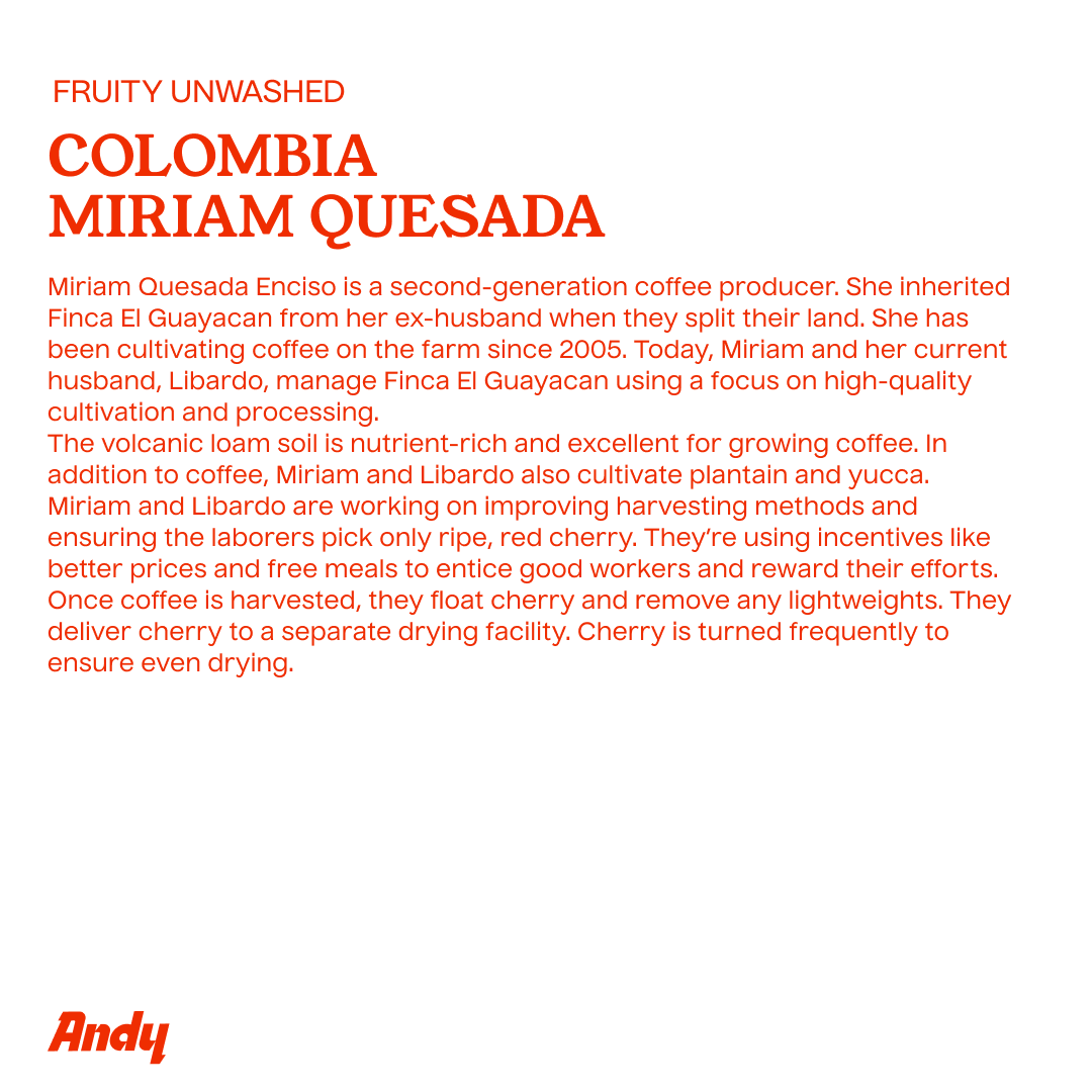 COLOMBIA Miriam Quesada, Espresso