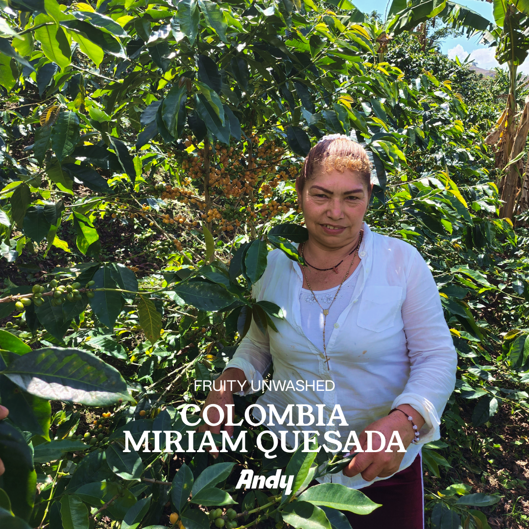 COLOMBIA Miriam Quesada, Espresso