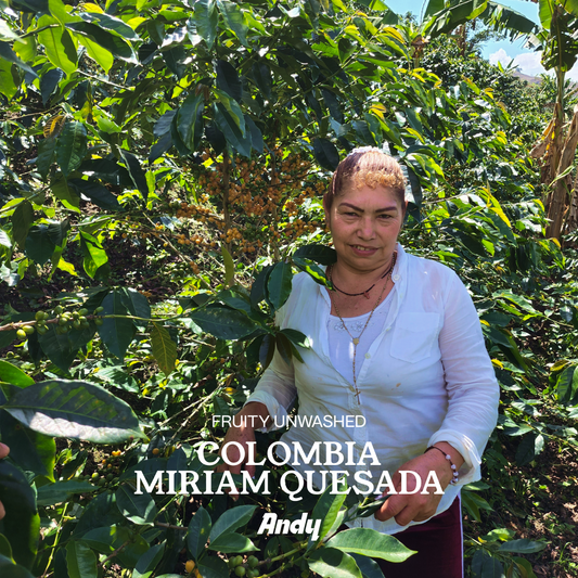 COLOMBIA, Miriam Quesada, Filter