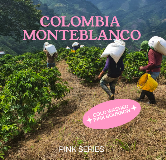 COLOMBIA Monteblanco, by Rodrigo Sanchez, Filter