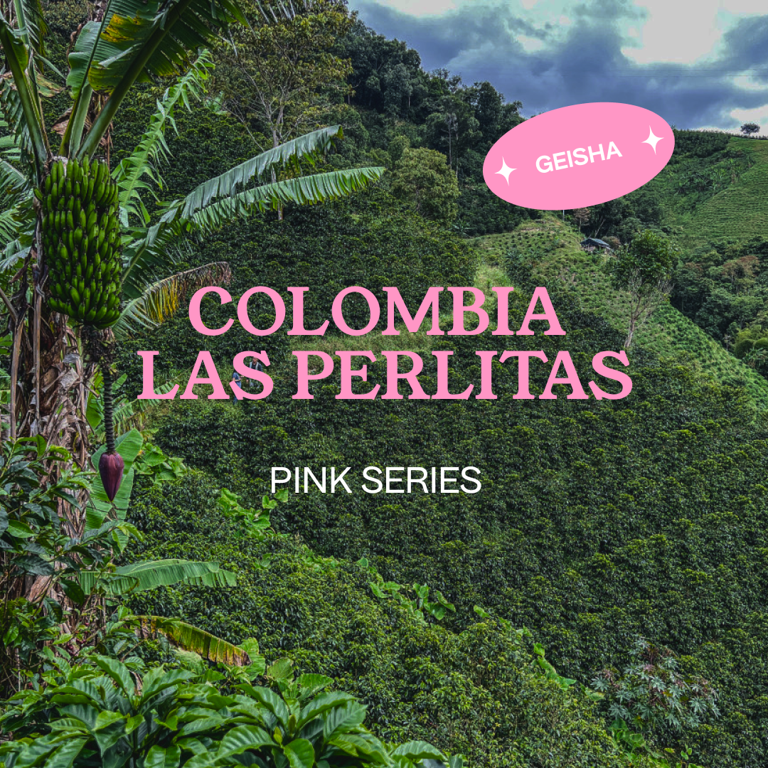 COLOMBIA Las Perlitas, Filter