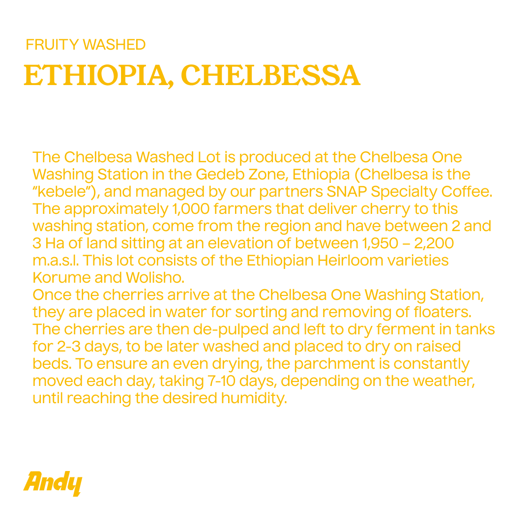 ETHIOPIA Chelbessa Espresso