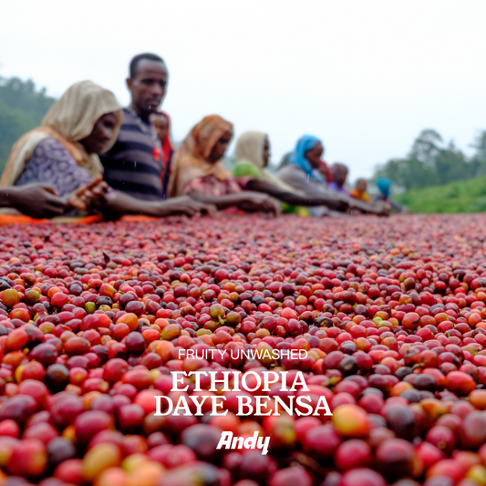 ETHIOPIA, Daye Bensa, Espresso