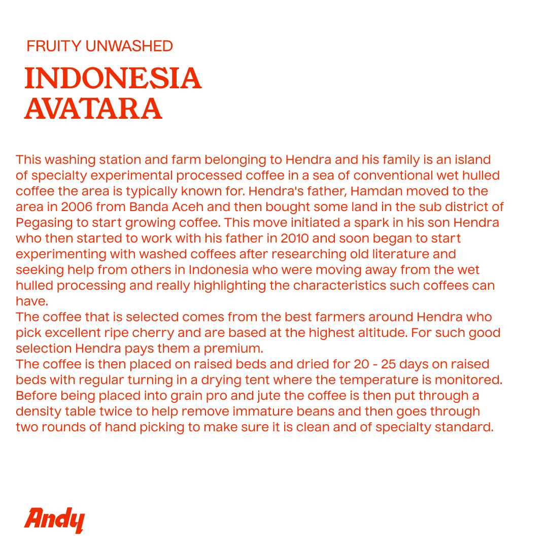 INDONESIA Avatara, Espresso