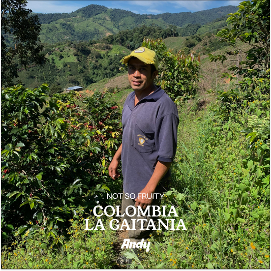 COLOMBIA, Gaitania, Espresso