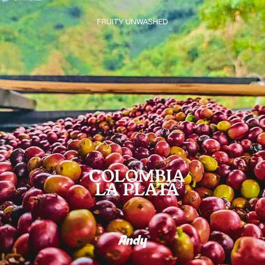 COLOMBIA, La Plata, Filter