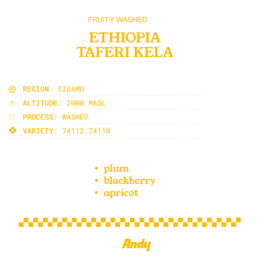 ETHIOPIA Taferi Kela, Filter