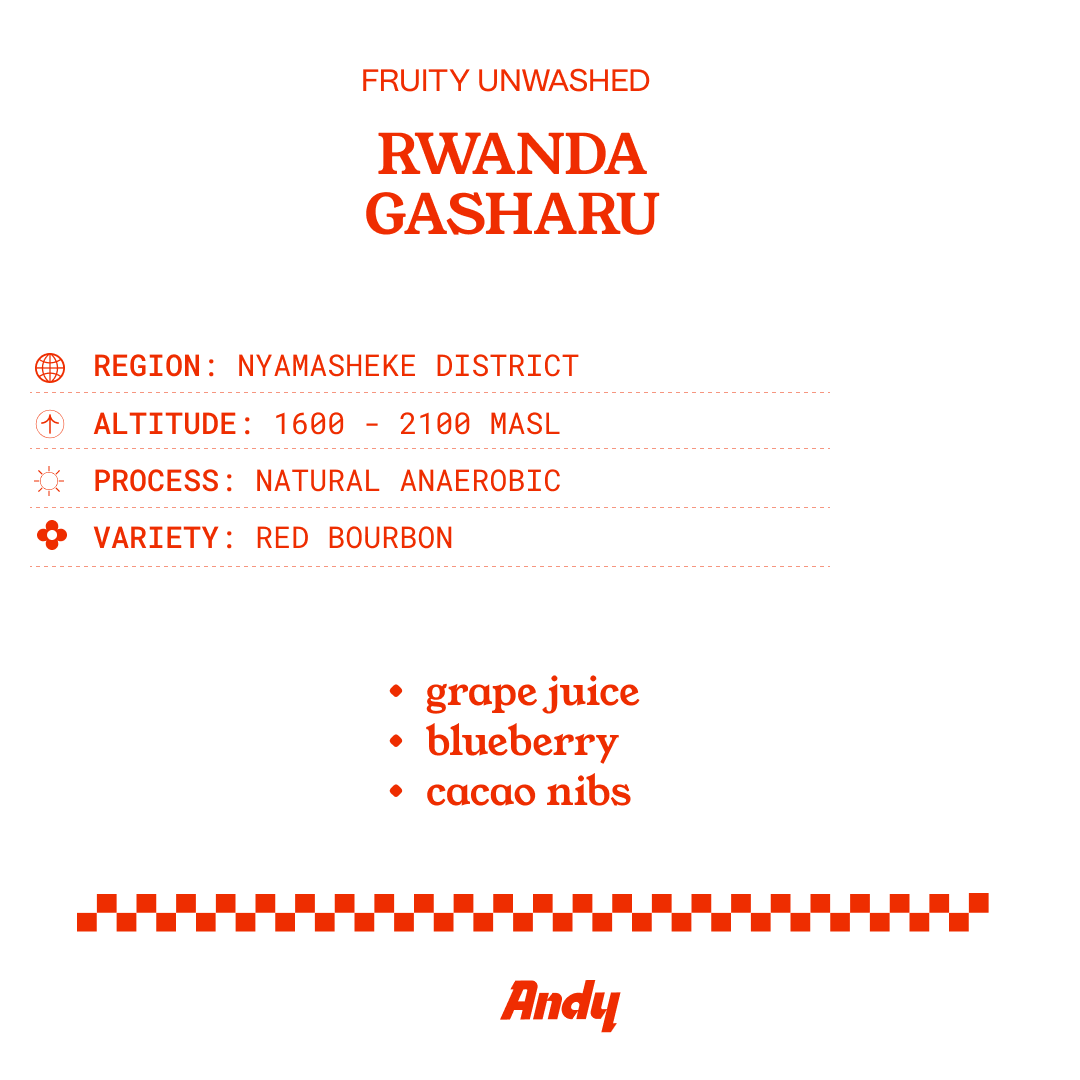 RWANDA, Gasharu, Espresso