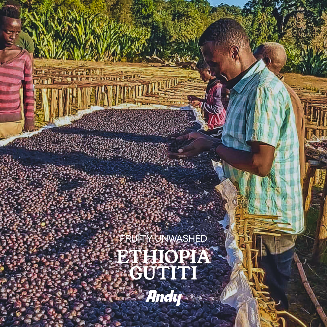 ETHIOPIA Gutiti, filter