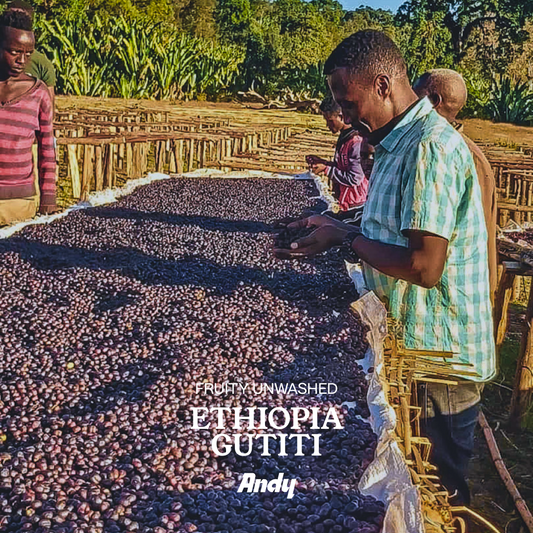 ETHIOPIA Gutiti, filter