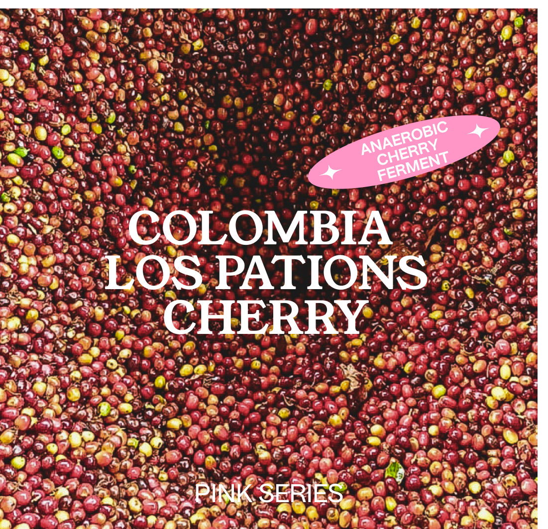 COLOMBIA  Los Patios CHERRY, Filter