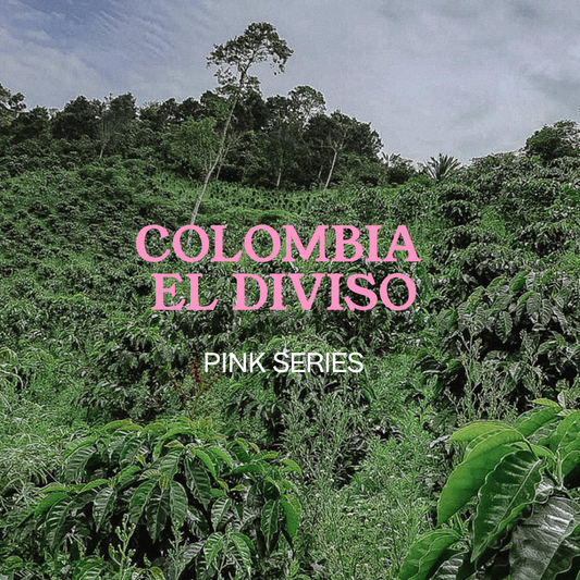 COLOMBIA  El Diviso, Filter