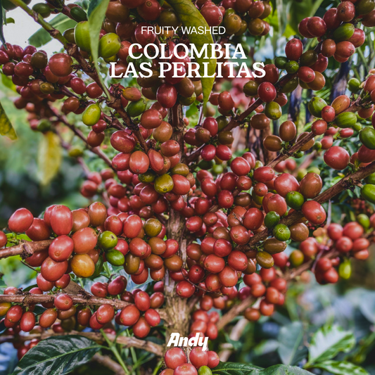COLOMBIA Las Perlitas, Filter
