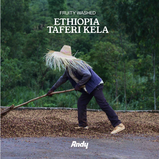ETHIOPIA Taferi Kela, Filter