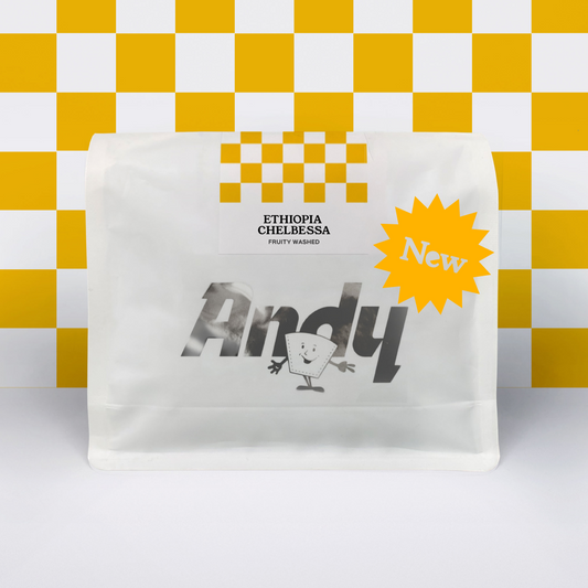 ETHIOPIA Chelbesa, Filter