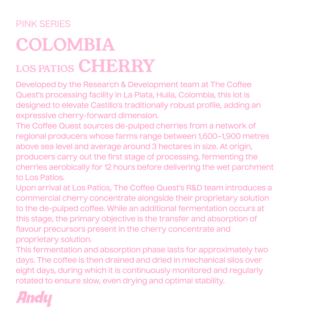COLOMBIA  Los Patios CHERRY, Filter